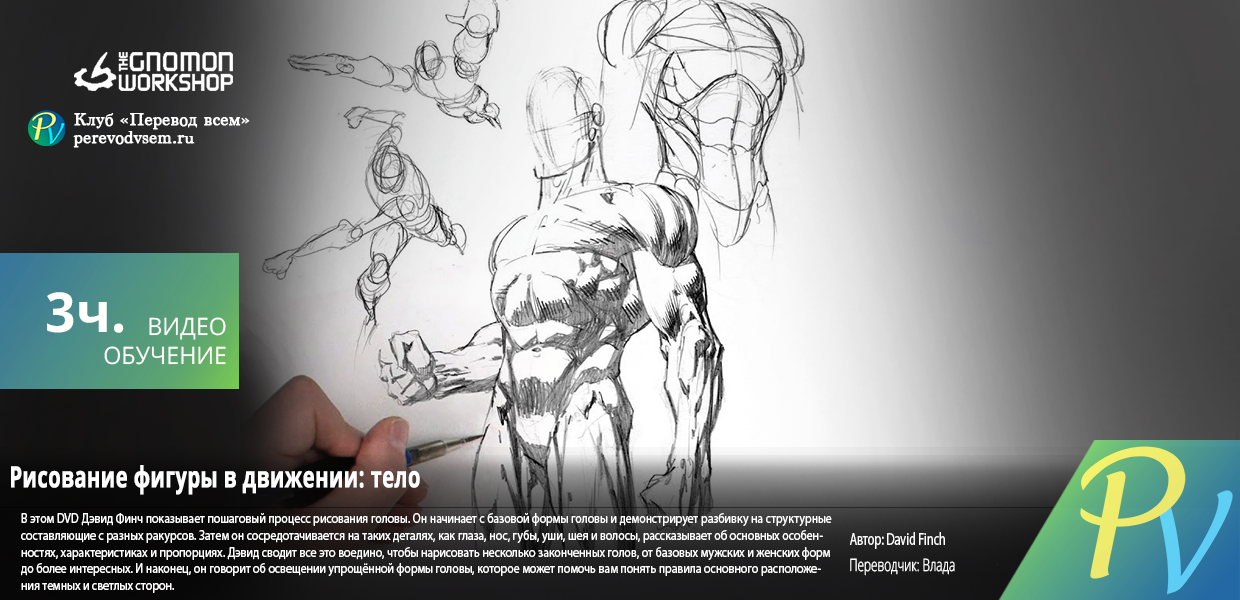 483.The-Gnomon-Workshop-Dynamic-Figure-Drawing-The-Body.png