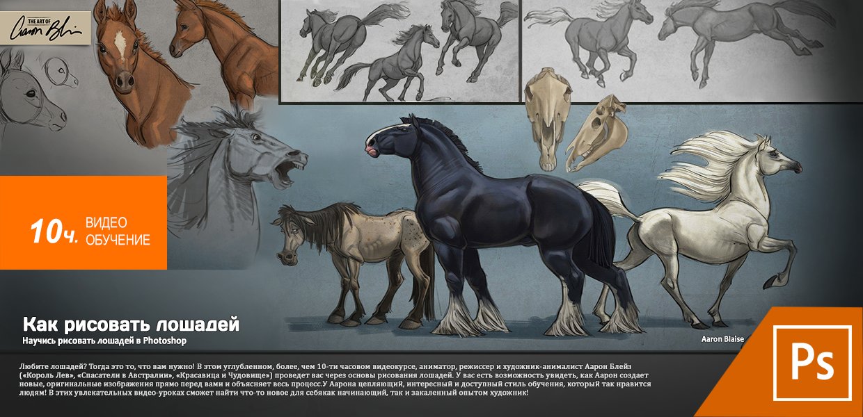 The-Art-Of-Aaron-Blaise-How-to-Draw-Horses.jpg