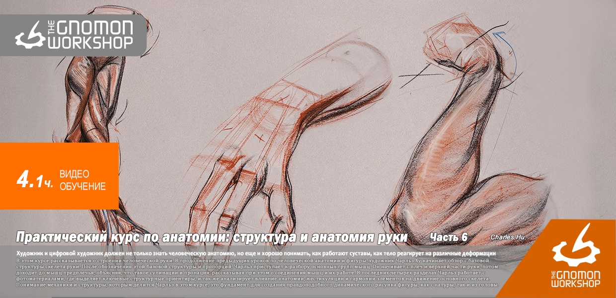 The-Gnomon-Workshop-Anatomy-Workshop-Volume-6.png