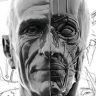 [Cкотт Итон] Portraiture and Facial Anatomy Week 2 [ENG-RUS]