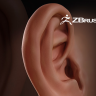 [Digital Tutors] Sculpting Human Ears in ZBrush [ENG-RUS]