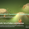[hipflask] Houdini Geometry Essentials 06 Scattering & Distribution [ENG-RUS]