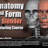 [Gumroad] Anatomy and Form in Blender Sculpting Course [ENG-RUS]