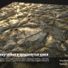 [Allegorithmic] Substance Designer Intermediate-Advanced Tutorials [ENG-RUS]